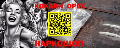 шишки Камень-на-Оби