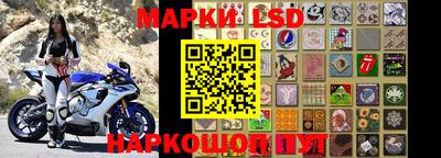 шишки Камень-на-Оби