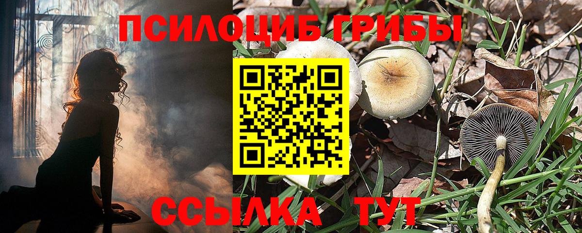 Галлюциногенные грибы GOLDEN TEACHER  Псилоцибиновые грибы Cubensis  Вход с VPN  Туапсе 